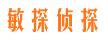 广南市侦探调查公司